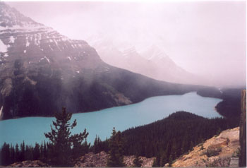 Peyto